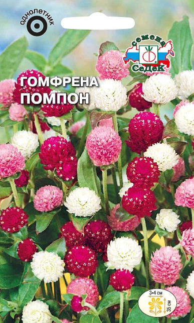 Семена цветов - Гомфрена Помпон  0,1 гр.
