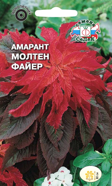 Семена цветов - Амарант Молтен Файер  0,25 гр.