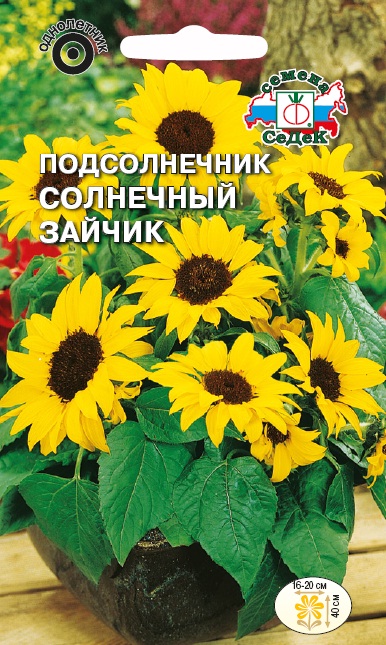 Семена цветов - Подсолнечник Солнечный Зайчик  1 гр.
