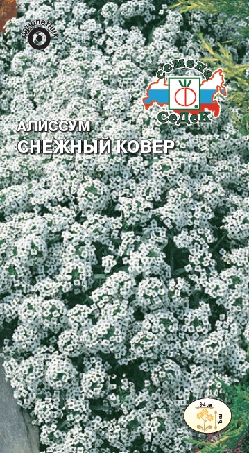 Семена цветов - Алиссум Снежный Ковер  0,1 гр.