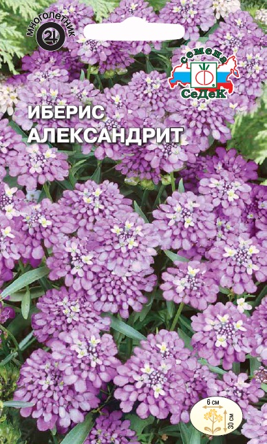 Семена цветов - Иберис Александрит  0,1 гр.